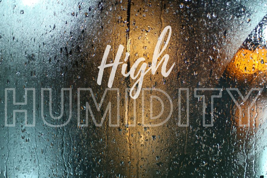 How a Dehumidifier Can Save You from the Dangers of High Humidity