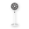 Stand Fan